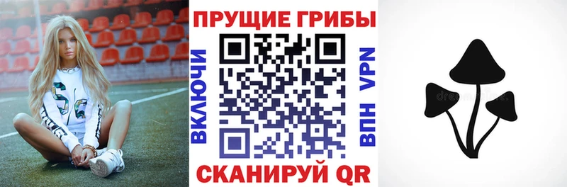 Купить закладки Кологрив Псилоцибиновые грибы Psilocybine cubensis