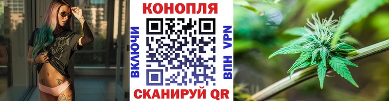 Канабис сатива  Купить закладки  Кологрив 